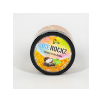 Bigg Ice Rockz Rumble in the Jungle gallery