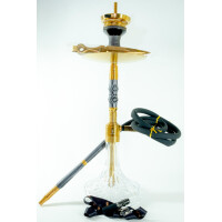 Steamster GTS Edition 4.0 Gold 1