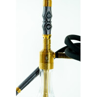 Steamster GTS Edition 7.0 Gold 2