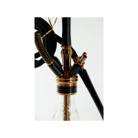 Steamster X - Moon Rose,Gold,Schwarz 2